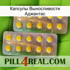 Капсулы Выносливости Аджантас new10